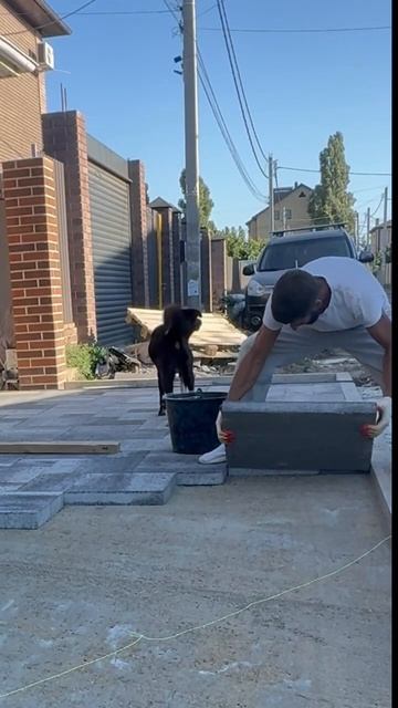 Укладка тротуарной плитки своими руками #укладкатрот? смотреть онлайн