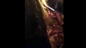 Добрый Вечер Посидим Возле Огня Тихо и Спокойно Треск Огня и где то птички поют