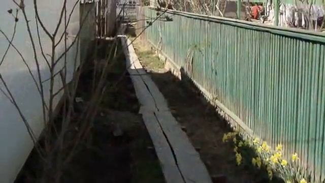 Вилково - город рыбаков смотреть онлайн