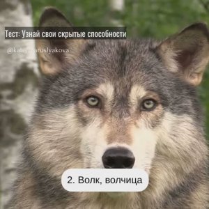 Тест: Узнай свои скрытые возможности