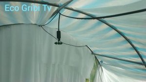 #6 Грибы Вешенки в теплице весной . Эксперимент