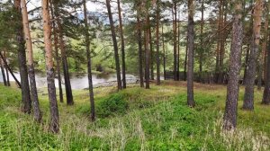 Продаётся потрясающий участок в поселке Уфимка