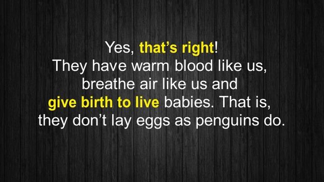 Ocean Animals - A1 - Learn English Through Short Stories