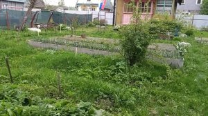 Приехал муж!