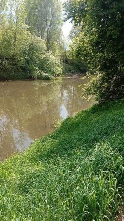 РЫБАЛКА МЫ СНОВА НА НОЛЬКЕ! РЕКА МАЛАЯ КОКШАГА! 17.05.2025 ГОДА! ЧАСТЬ-1 #fishing #рыбалка