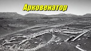 Arcovenator