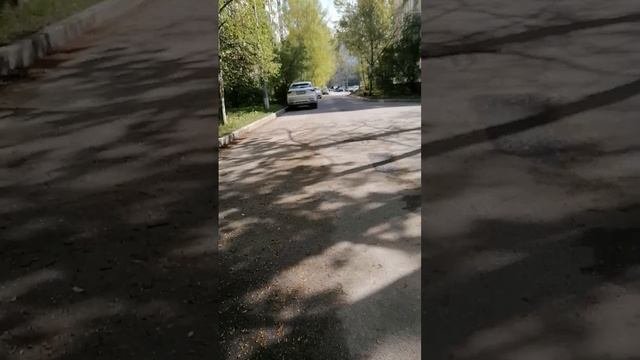 Вечерняя прогулка