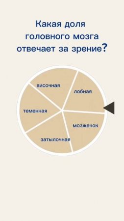 Вы бы это знали, если бы были подписаны на мой канал