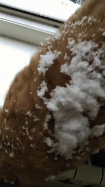 Много снега за окном.