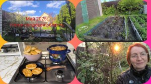 16-05-2025г.Жизнь в деревне.Новый розарий.Угостила пирожками мужа.