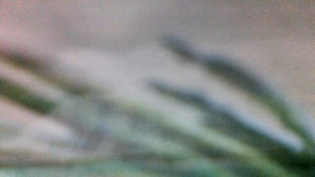 Король Эрик XXIX на волшебных лыжахНадежда Симонян - Денис ВилейчиккфСнежная королеванаброски