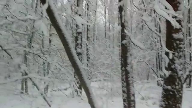 меня завалило снегом с головой 21 ноября 2020 г.! не ожидал😲 нормальное явление? пишите в комментах смотреть онлайн