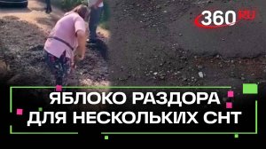 Дорожные беды подмосковных Жаворонок: как одна грунтовка стала яблоком раздора для нескольких СНТ