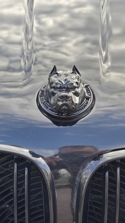 Led птф BMW x5 e53