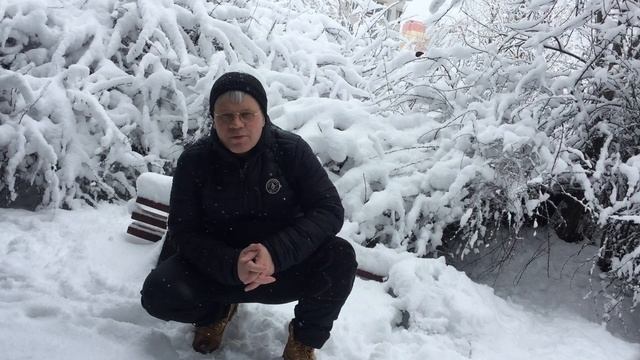 Discord Новости под снежной шапкой на ветвях. смотреть онлайн