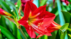 БЕЗУМНО КРАСИВАЯ МУЗЫКА ДЛЯ ДУШИ - ВСЕ ВАШИ ТРЕВОГИ ИСЧЕЗНУТ, ЕСЛИ ВЫ ПОСЛУШАЕТЕ ЭТУ РЕЛАКС МУЗЫКУ