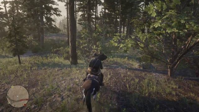 Red Dead Redemption 2 Прохождение #6 (PC) Майка в беде смотреть онлайн