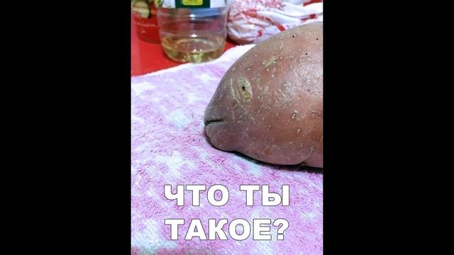 Приколы МЕМЫ с озвучкой – Я РЖАЛ ПОЛЧАСА! ПОПРОБУЙ не ЗАСМЕЯТЬСЯ – кот МУРЗИК смотреть онлайн