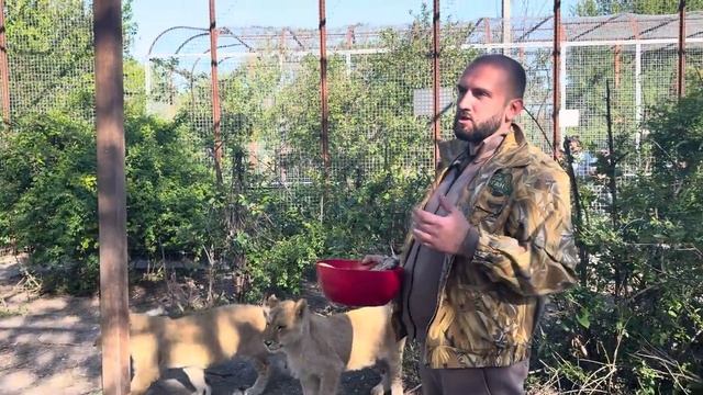 Сараби просто ЗАЦЕЛОВАЛА Дениса, ее уже сложно держать на руках, но Денис справляется!