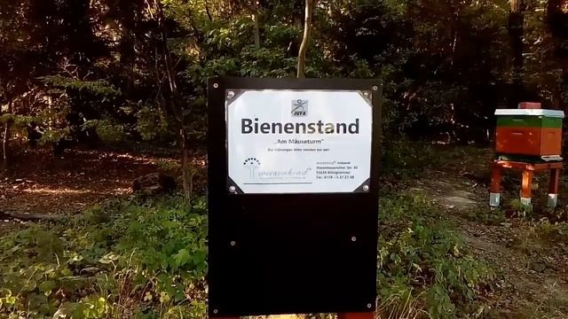 ОКРЕСТНОСТИ НАШЕГО ХОТЭЛЯ - ЮФА  В СЕМИГОРЬЕКЁНИГСВИНТЭР.HOTEL  JUFA  SIEBENGEBIRGE KÖNIGSWINTE