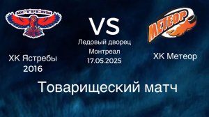 Товарищеская игра Ястребы Запад VS Метеор