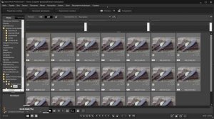 Canon R8 и Canon RP. Брекетинг фокуса и Фокус-стекинг