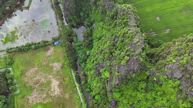 Вьетнам 2024. Парк лотосов в Нинь Бинь. Lotus field in Tam Coc park Vietnam. 4K Drone footage.