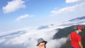 Велика сивуля