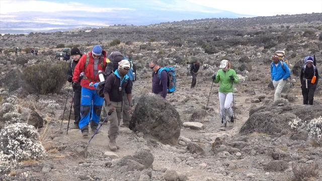 Танзания 2016