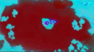 Шапка Теле Программы 10 Самых Горячих Клипов Дня in G Major