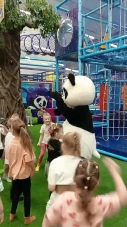 VID-20250517-WA0048.mp4