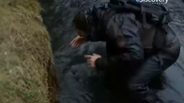 Выжить любой ценой эпизод № 1231 смотреть онлайн