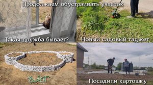 ВЛОГ. Такая дружба бывает?! Продолжаем обустраивать участок. Новый садовый гаджет. Посадили картошку
