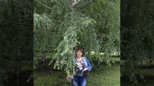 В ПАМЯТЬ О МОЕЙ ЛУЧШЕЙ ПОДРУГЕ ЗИНАИДЕ ЛЕОНТИИ - СТАДНИК смотреть онлайн