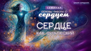 Сердце как физический орган  #весталия_семинар #основы_работы_с_сердцем