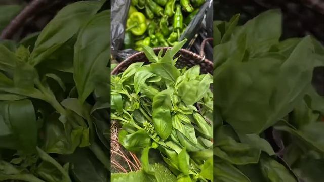 Доброе утро, урожай смотреть онлайн