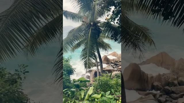 Ла-Диг, Сейшелы смотреть онлайн