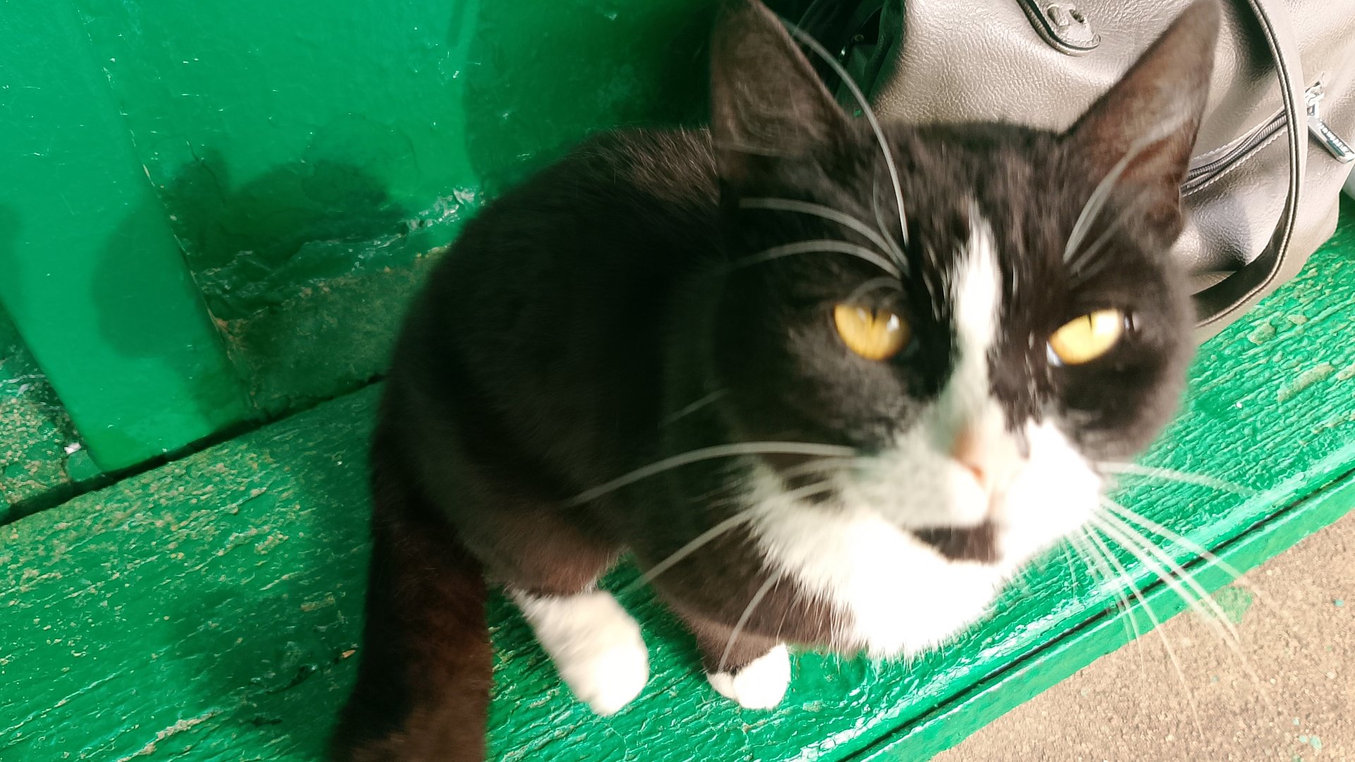 17-05-2025милота на остановке/забегала Альбина/вторая примерка/пицца на обед/комментарии🌺🌺🌺