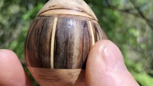 Шкатулка в весеннем лесу в дупле березы