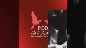 Чеслав Немен (Czeslaw Niemen). Песня «Pod papugami» (в переводе — «Под попугаями»).