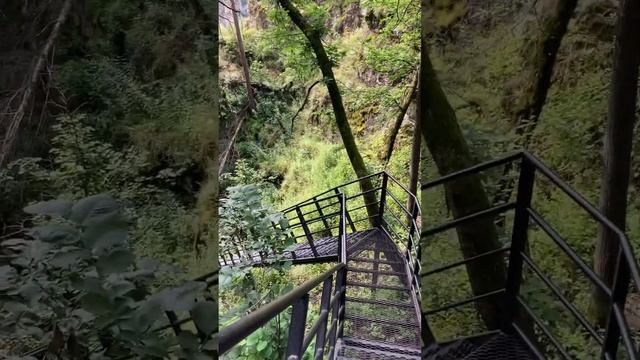 Айские притесы. Спуск к реке Ай #природа #nature #mountains смотреть онлайн