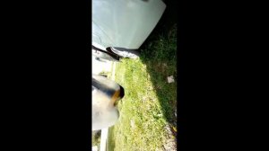 Снятие и чистка клапана PCV HONDA STEPWGN RP