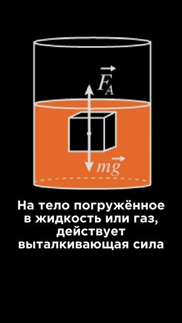 Ультракоротко ⏱️ Сила Архимеда #Наука #Физика #Интересно #Юмор