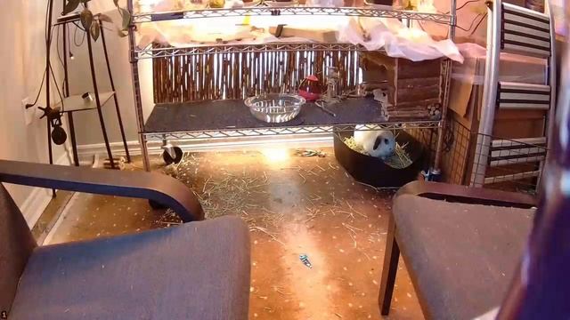 Мам, зачем тебе новое платье. Я молодая, мне нужней. Ист смотреть онлайн