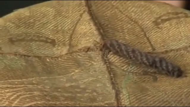 История кавказского костюма. З.Доде, доктор историчес?