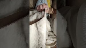 ИЗ СТАРОЙ ШУБЫ В СТИЛЬНЫЙ БОМБЕР