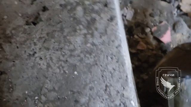 Видео от наших Братишек спецназа Грачи