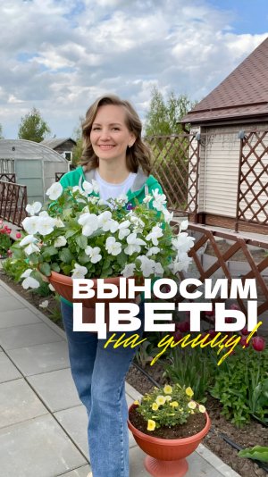 🌺 Когда можно выносить рассаду цветов на улицу?