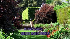 О ПРЕКРАСНОМ*      Hidcote Manor Garden