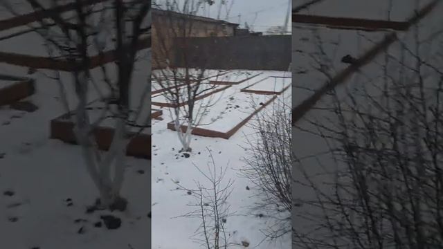 Жизнь в Российской деревне после Германии.  Домик в деревне в нашем случае квартирка.